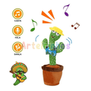 Cacto Dançante Arteirinhos