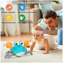 Carangueijo Fujão - CrabiKids - Especial dia Das Crianças