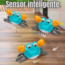 Carangueijo Fujão - CrabiKids - Especial dia Das Crianças