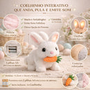 Coelhinho da Páscoa Pelúcia